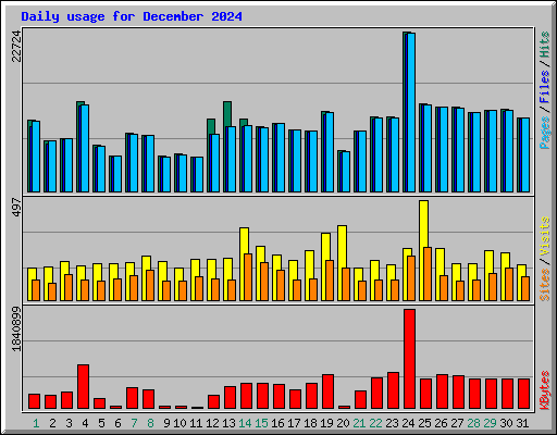 Daily usage for December 2024