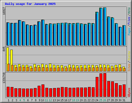 Daily usage for January 2025