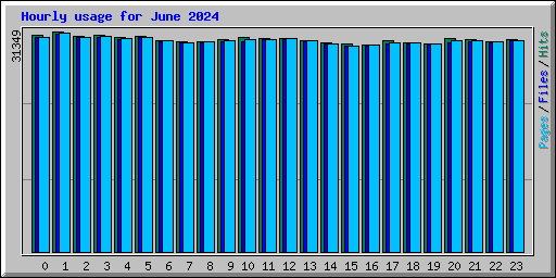 Hourly usage for June 2024