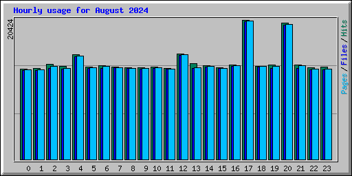 Hourly usage for August 2024