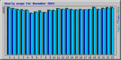 Hourly usage for November 2024