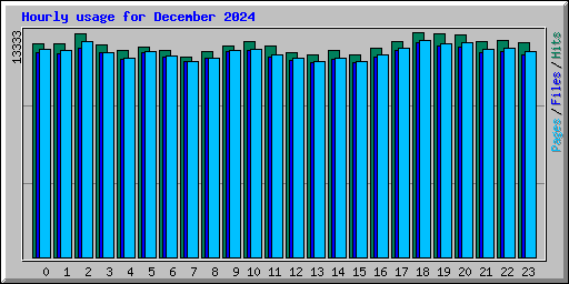 Hourly usage for December 2024