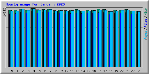 Hourly usage for January 2025