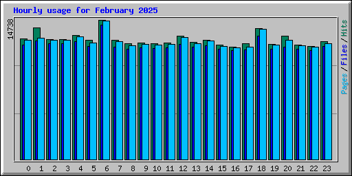 Hourly usage for February 2025